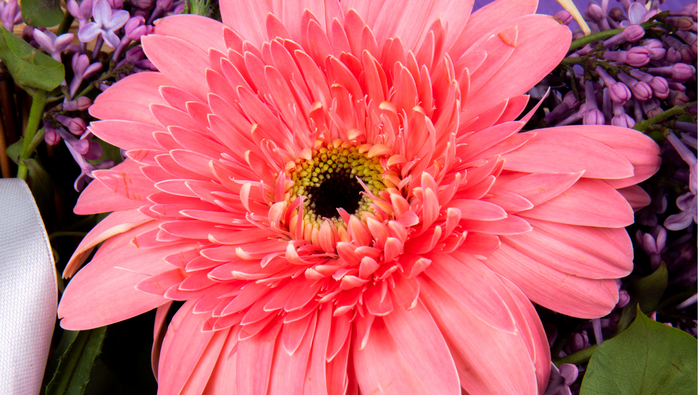 Flores de Bach para equilibrar tus emociones de forma natural